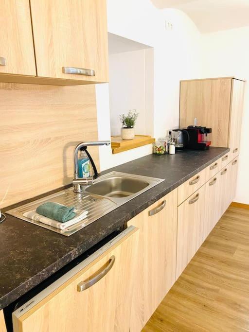 Terrassenwohnung Mit Donaublick Obernzell Екстер'єр фото